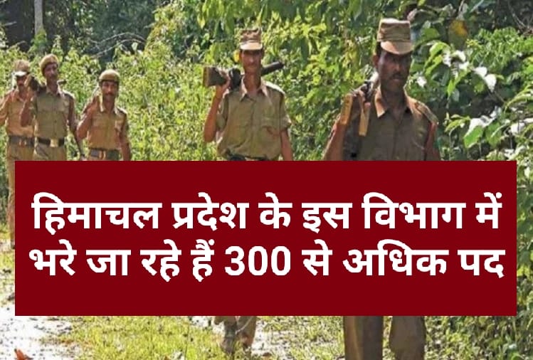 Himachal Job Alert : इस विभाग में भरे जा रहे हैं 300 से अधिक पद…