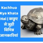 Kachhua Kya Khata Hai | कछुए से जुड़ी विभिन्न जानकारियां