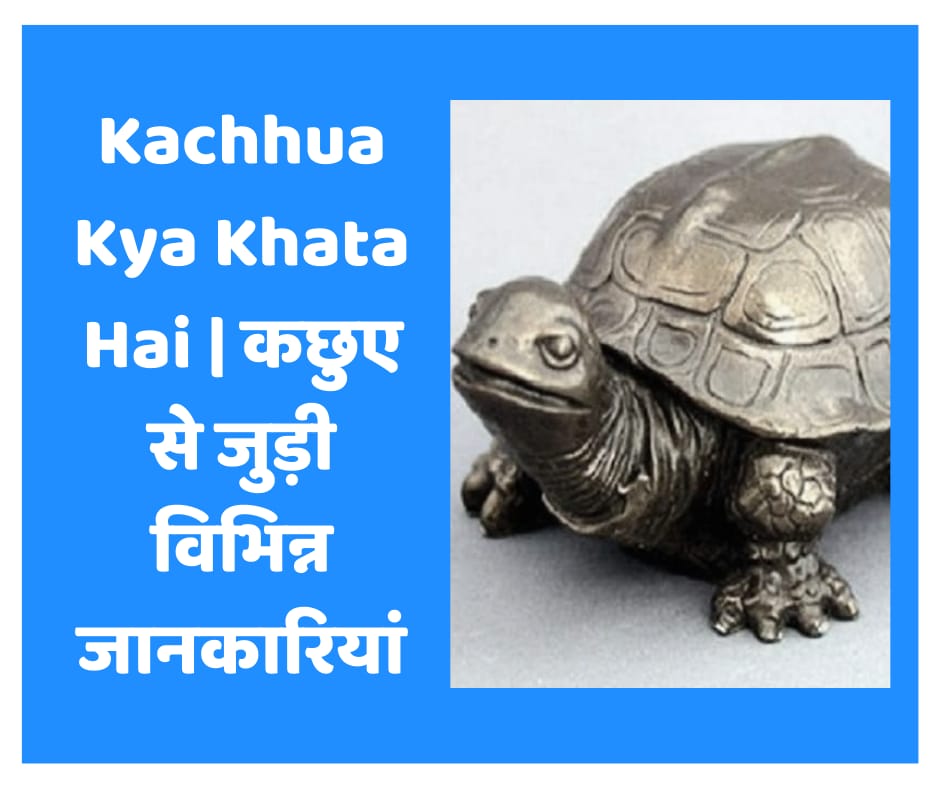 Kachhua Kya Khata Hai | कछुए से जुड़ी विभिन्न जानकारियां