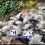 हिमाचल में दर्दनाक हादसा, गहरी खाई में गिरने से 200 भेड़-बकरियों की मौत