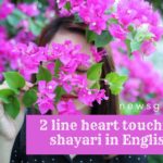 2 line love shayari in English | Two line shayari in english