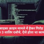 साइबर क्राइम मामले में हैकर गिरोह के 3 शातिर दबोचे, ऐसे होता था काम