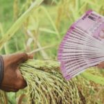 Kisan Loan : किसानों के लिए लोन से जुड़ी खुशखबरी,