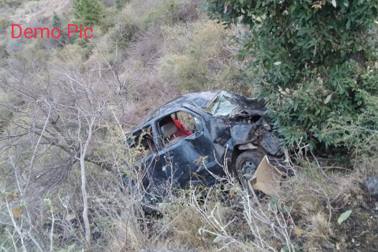 दर्दनाक हादसा, खाई में गिरी कार माँ की मौत, बेटा गम्भीर..