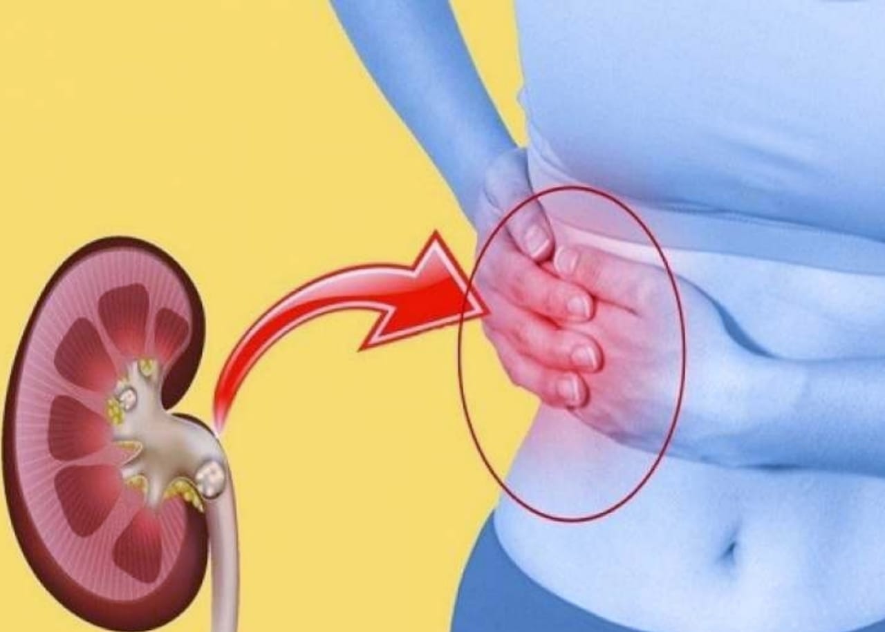 Gallbladder stone : अगर आप भी है पित की पथरी से परेशान, अपनाएं ये घरेलू टिप्स और पाएं छुटकारा…