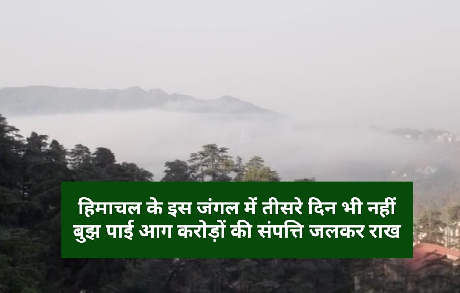 हिमाचल के इस जंगल में तीसरे दिन भी नहीं बुझ पाई आग करोड़ों की संपत्ति जलकर राख