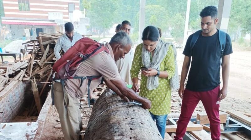 पांवटा साहिब : अवैध कटान के मामले में आरा-मशीन पर छापामारी, अवैध लकड़ी बरामद