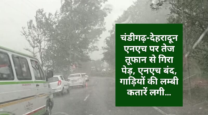 चंडीगढ़-देहरादून एनएच पर तेज तूफान से गिरा पेड़, एनएच बंद, गाड़ियों की लम्बी कतारें लगी…