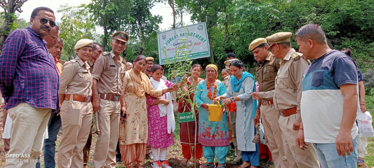 सतौन में मनाया गया आजादी का अमृत महोत्सव एवं हरियाली महोत्सव…