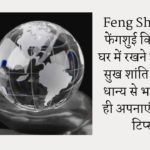 Feng Shui Tips: फेंगशुई कि यह चीजें घर में रखने से हो जाएंगे सुख शांति और धन-धान्य से भरपूर, आज ही अपनाएं ये फेंगशुई टिप्स…