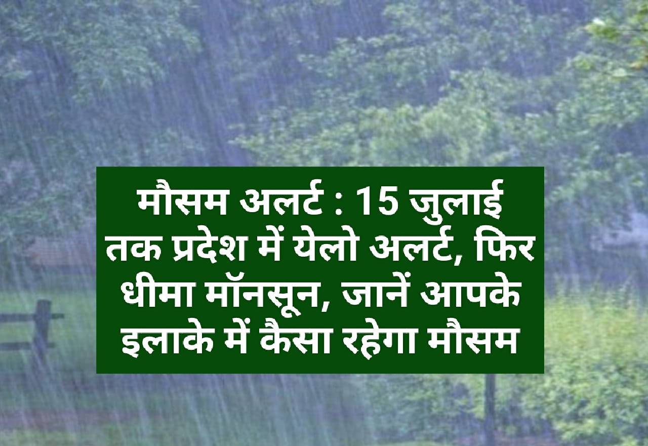 मौसम अलर्ट : 15 जुलाई तक प्रदेश में येलो अलर्ट, फिर धीमा मॉनसून, जानें आपके इलाके में कैसा रहेगा मौसम