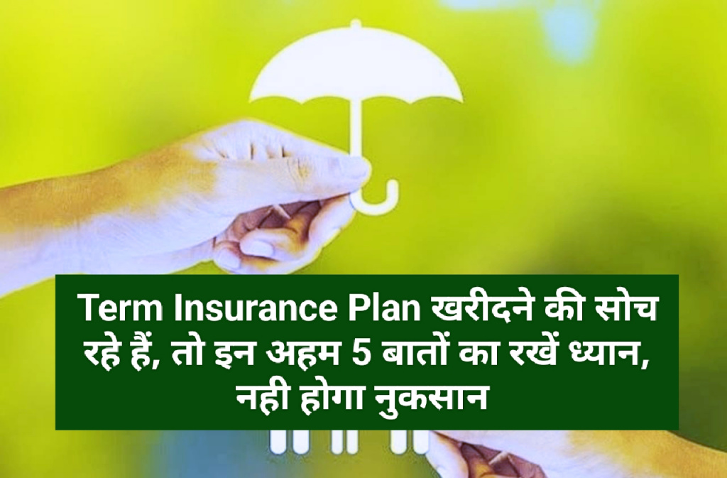Term Insurance Plan Tips: Term Insurance Plan खरीदने की सोच रहे हैं, तो इन अहम 5 बातों का रखें ध्यान, नही होगा नुकसान