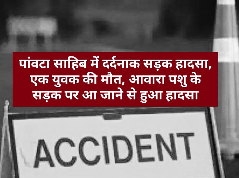 पांवटा साहिब में दर्दनाक सड़क हादसा, एक युवक की मौत, आवारा पशु के सड़क पर आ जाने से हुआ हादसा