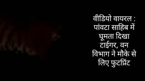 वीडियो वायरल : पांवटा साहिब में घूमता दिखा टाईगर, वन विभाग ने मौके से लिए फुटप्रिंट