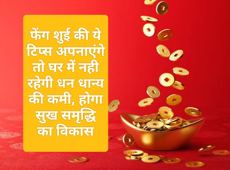 Feng shui Money Tips: फेंग शुई की ये टिप्स अपनाएंगे तो घर में नही रहेगी धन धान्य की कमी, होगा सुख समृद्धि का विकास