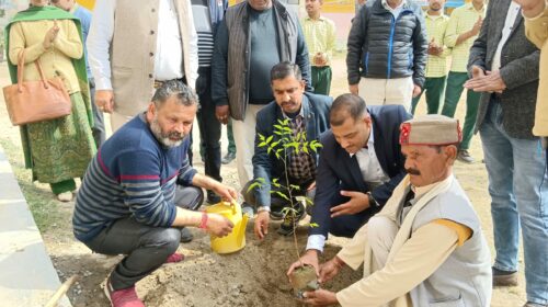 पांवटा साहिब में आयोजित हुआ 24वां सड़क सुरक्षा जागरूकता शिविर, डीएसपी रमाकांत ठाकुर की अध्यक्षता में हुआ कार्यक्रम