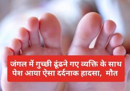 Himachal News: जंगल में गुच्छी ढूंढने गए व्यक्ति के साथ पेश आया ऐसा दर्दनाक हादसा, मौत