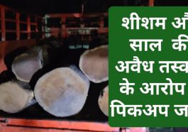 Paonta Sahib News: शीशम और साल की अवैध तस्करी के आरोप में पिकअप जब्त