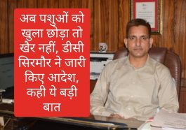 Sirmour News: अब पशुओं को खुला छोड़ा तो खैर नहीं, डीसी सिरमौर ने जारी किए आदेश, कही ये बड़ी बात