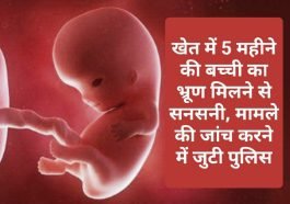 Sirmour News: खेत में 5 महीने की बच्ची का भ्रूण मिलने से सनसनी, मामले की जांच करने में जुटी पुलिस