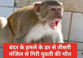बंदरों का आतंक: बंदर के हमले के डर से तीसरी मंजिल से गिरी युवती की मौत