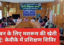 Sirmour News: स्वावलंबन के लिए मशरूम की खेती अपनाएं: केवीके में प्रशिक्षण शिविर