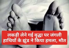 Paonta Sahib News: लकड़ी लेने गई वृद्धा पर जंगली हाथियों के झुंड ने किया हमला, मौत