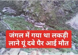 Himachal Pradesh News: जंगल में गया था लकड़ी लाने यूं दबे पैर आई मौत