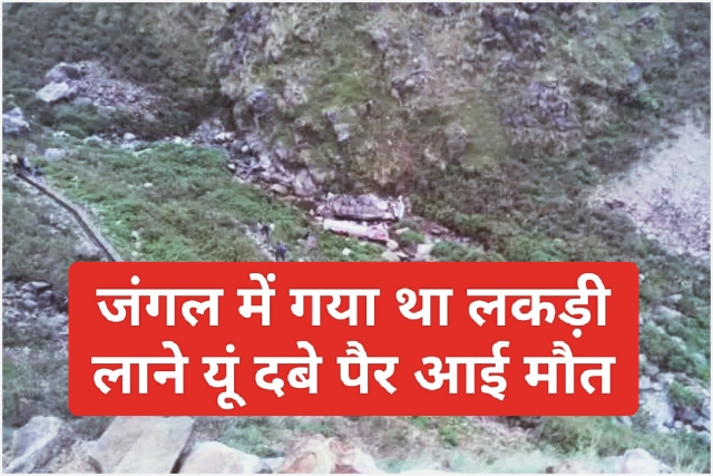 Himachal Pradesh News: जंगल में गया था लकड़ी लाने यूं दबे पैर आई मौत