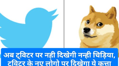 Twitter New Logo: अब ट्विटर पर नही दिखेगी नन्ही चिड़िया, ट्विटर के नए लोगो पर दिखेगा ये कुत्ता
