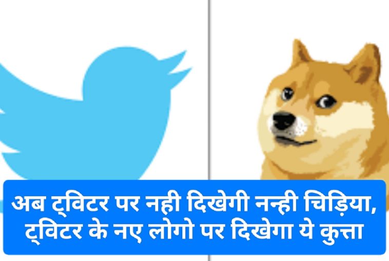 Twitter New Logo: अब ट्विटर पर नही दिखेगी नन्ही चिड़िया, ट्विटर के नए लोगो पर दिखेगा ये कुत्ता