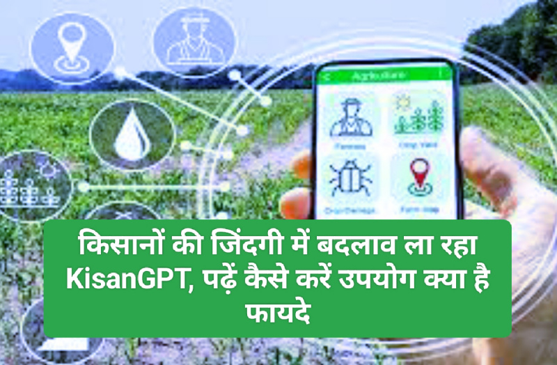 Kya hai KisanGPT: किसानों की जिंदगी में बदलाव ला रहा KisanGPT, पढ़ें कैसे करें उपयोग क्या है फायदे
