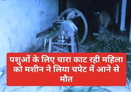 Himachal Latest News: पशुओं के लिए चारा काट रही महिला को मशीन ने लिया चपेट में आने से मौत