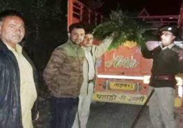 Sirmour News: बड़ी मात्रा में अवैध फर्न के साथ पिकअप जब्त, 35 हजार जुर्माना