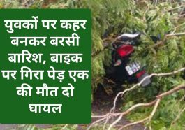 Himachal Pradesh News: युवकों पर कहर बनकर बरसी बारिश, बाइक पर गिरा पेड़ एक की मौत दो घायल