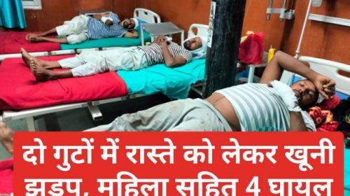 Paonta Sahib News: रास्ते को लेकर दो गुटों में खूनी झड़प, महिला सहित 4 घायल