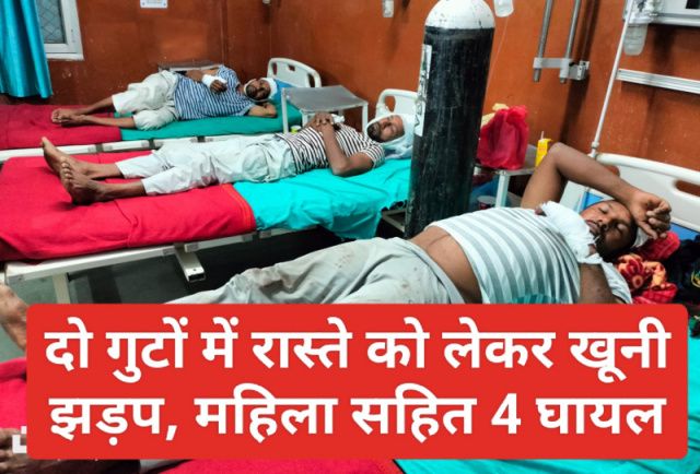 Paonta Sahib News: रास्ते को लेकर दो गुटों में खूनी झड़प, महिला सहित 4 घायल