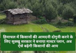HP Govt Agriculture Policy 2023: हिमाचल में किसानों की आमदनी दोगुनी करने के लिए सुक्खू सरकार ने बनाया मास्टर प्लान, अब ऐसे बढ़ेगी किसानों की आय
