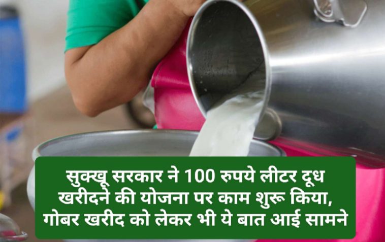 हिमाचल में पशु पालकों के लिए बड़ी खबर: सुक्खू सरकार ने 100 रुपये लीटर दूध खरीदने की योजना पर काम शुरू किया, गोबर खरीद को लेकर भी ये बात आई सामने