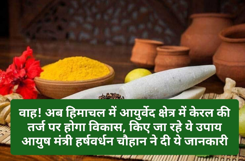 वाह! अब हिमाचल में आयुर्वेद क्षेत्र में केरल की तर्ज पर होगा विकास, किए जा रहे ये उपाय आयुष मंत्री हर्षवर्धन चौहान ने दी ये जानकारी