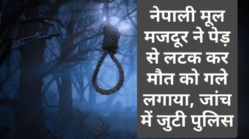 HP Latest News: नेपाली मूल मजदूर ने पेड़ से लटक कर मौत को गले लगाया, जांच में जुटी पुलिस