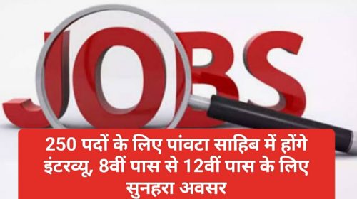 Himachal Jobs Alert: 250 पदों के लिए पांवटा साहिब में होंगे इंटरव्यू, 8वीं पास से 12वीं पास के लिए सुनहरा अवसर