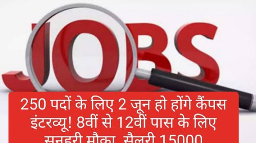 Paonta Sahib Jobs: 250 पदों के लिए 2 जून हो होंगे कैंपस इंटरव्यू! 8वीं से 12वीं पास के लिए सुनहरी मौका, सैलरी 15000