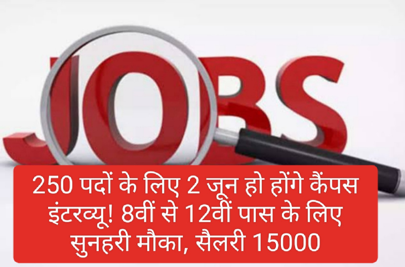 Paonta Sahib Jobs: 250 पदों के लिए 2 जून हो होंगे कैंपस इंटरव्यू! 8वीं से 12वीं पास के लिए सुनहरी मौका, सैलरी 15000