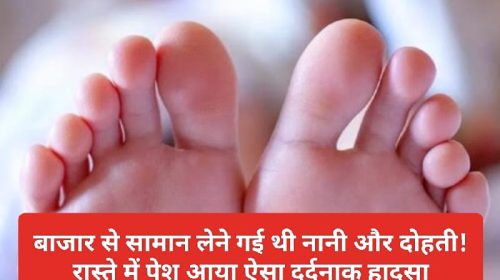 Himachal News: बाजार से सामान लेने गई थी नानी और दोहती! रास्ते में पेश आया ऐसा दर्दनाक हादसा