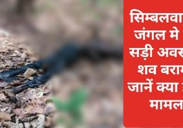 Paonta Sahib News: सिम्बलवाड़ा के जंगल मे गली सड़ी अवस्था में शव बरामद! जानें क्या है पूरा मामला