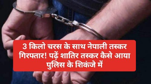 Himachal Latest News: 3 किलो चरस के साथ नेपाली तस्कर गिरफ्तार! पढ़ें शातिर तस्कर कैसे आया पुलिस के शिकंजे में