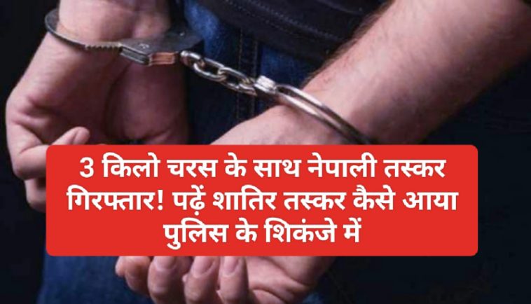 Himachal Latest News: 3 किलो चरस के साथ नेपाली तस्कर गिरफ्तार! पढ़ें शातिर तस्कर कैसे आया पुलिस के शिकंजे में