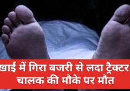 Himachal Pradesh News: खाई में गिरा बजरी से लदा ट्रैक्टर! चालक की मौके पर मौत