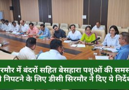 Sirmour News: ज़िला सिरमौर में बंदरों सहित बेसहारा पशुओं की समस्या से निपटने के लिए डीसी सिरमौर ने दिए ये निर्देश